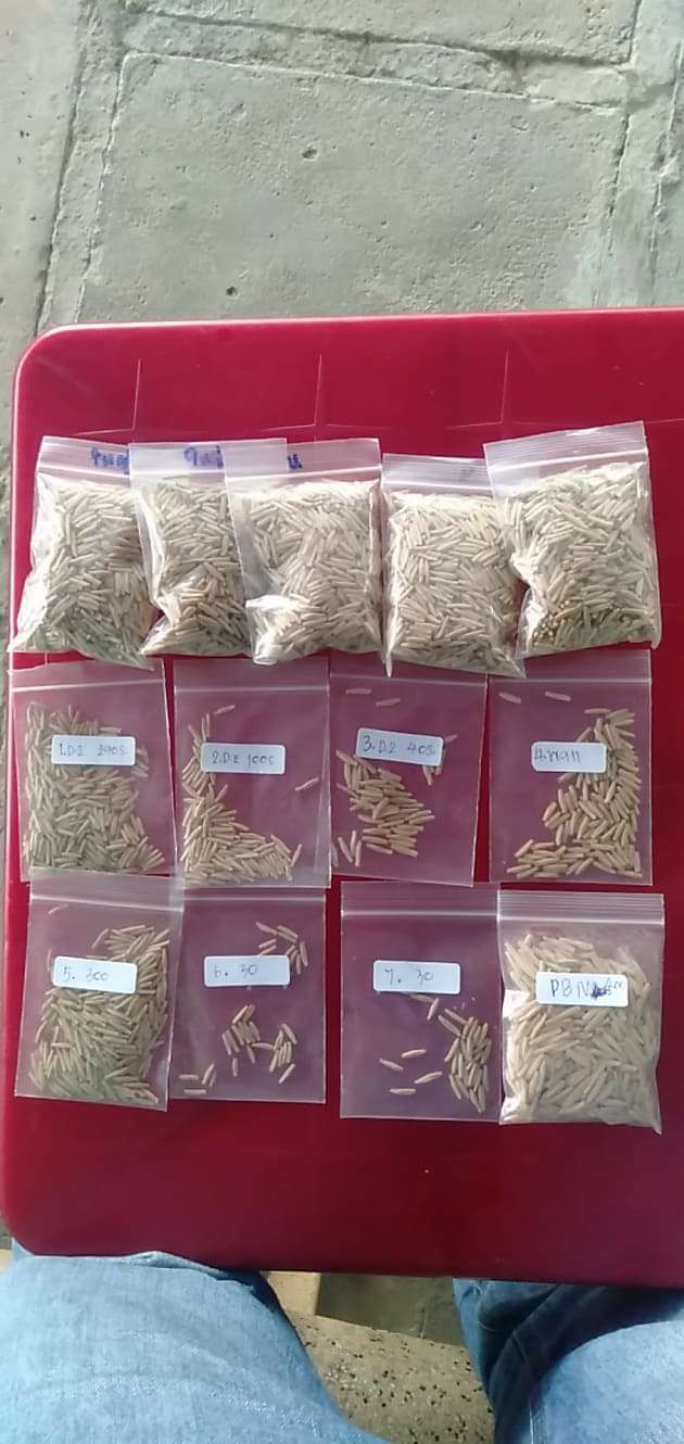 Hạt sứ thái Kim tự tháp nhập (10 hạt)