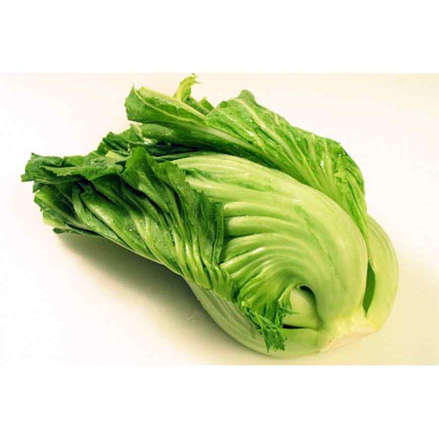 20G - Hạt Giống Cải Tòa Xại (Cải Bẹ Dưa)