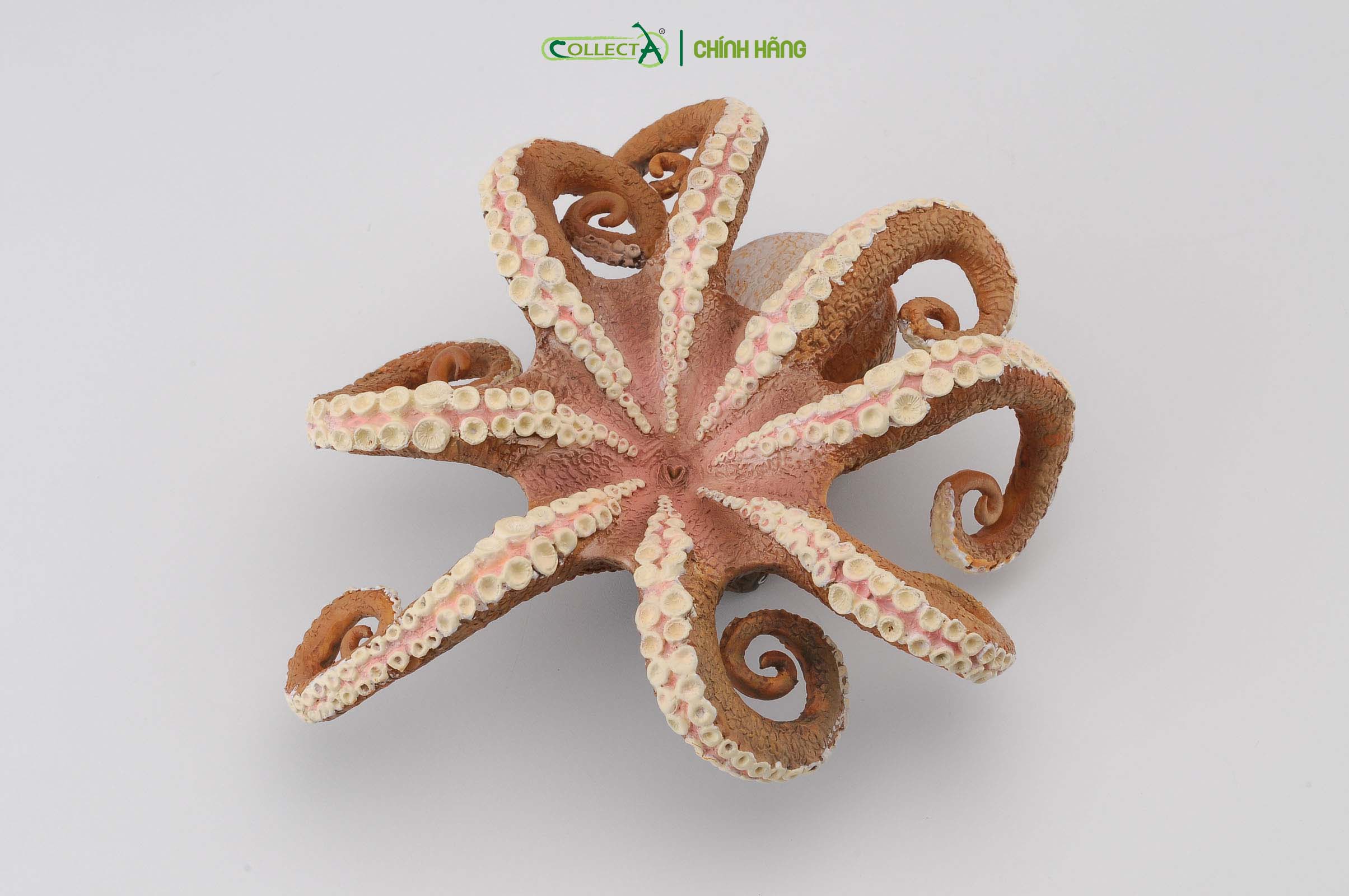 Đồ chơi mô hình động vật CollectA Bạch Tuộc - Octopus