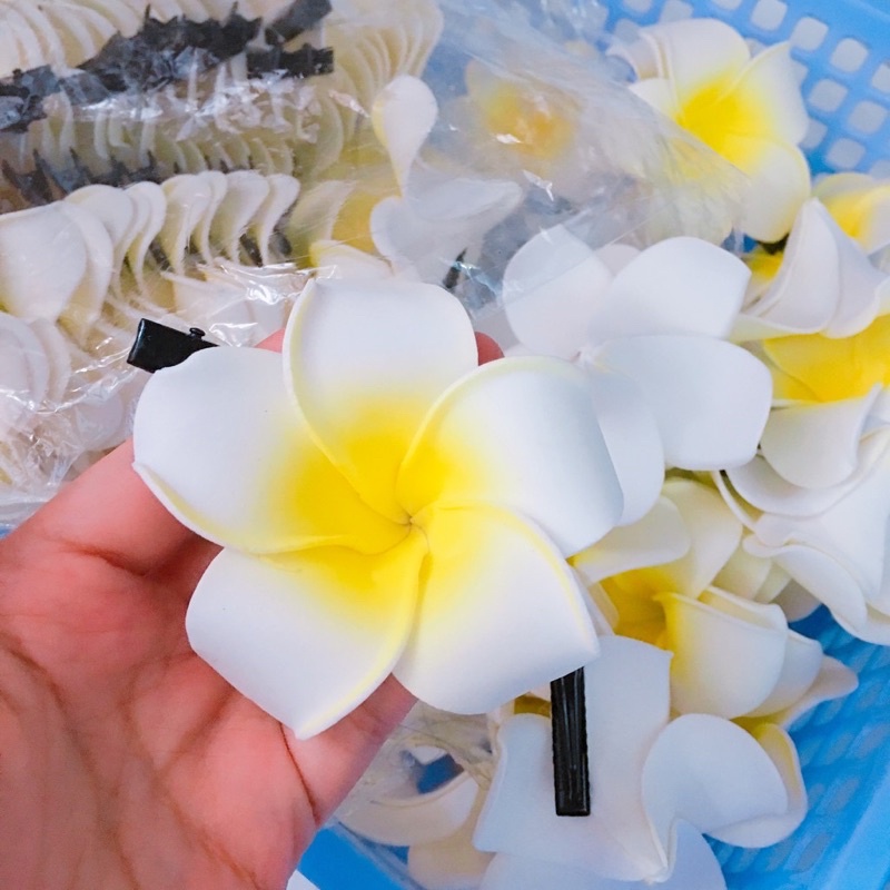 Cài tóc hoa đại, hoa sứ siêu xinh