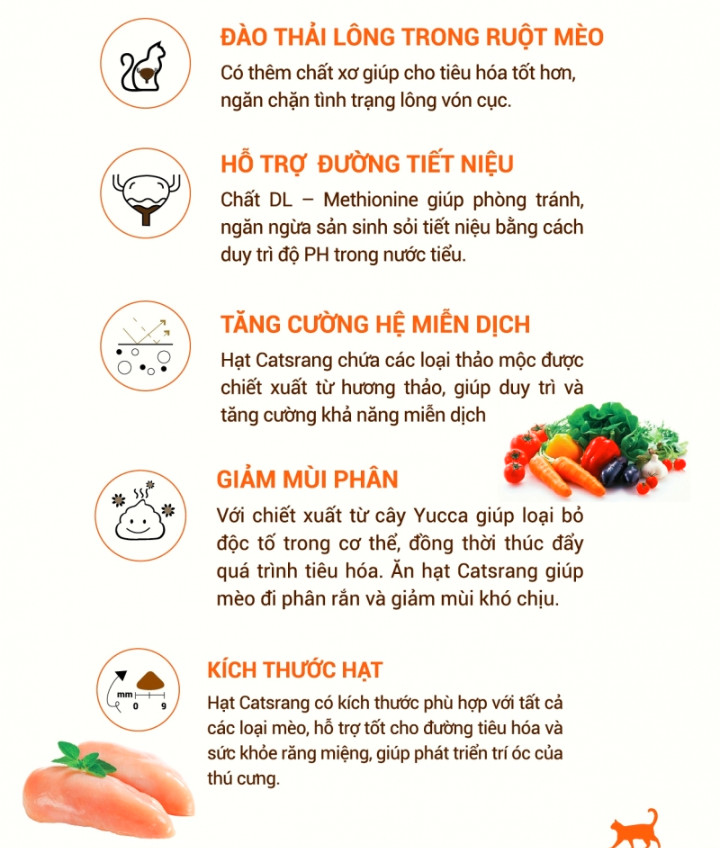(GIÁ TỐT/DATE MỚI) CATSRANG KITTEN 2KG - Hạt thức ăn cho mèo con dưới 12 tháng tuổi Hàn Quốc chính hãng
