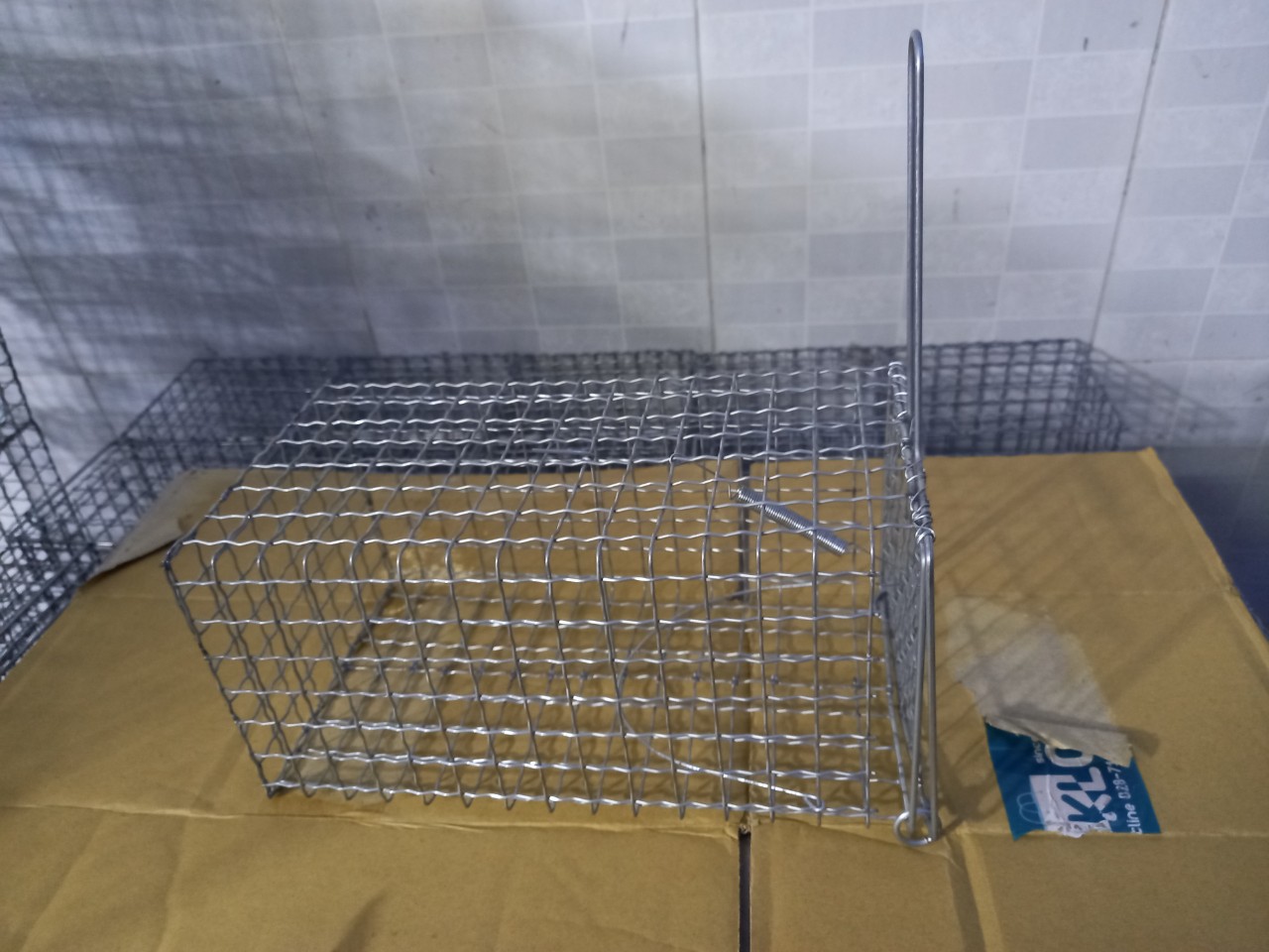 Set 2 Bẫy chuột cống nhum, Sóc loại lưới đan 3 cở
