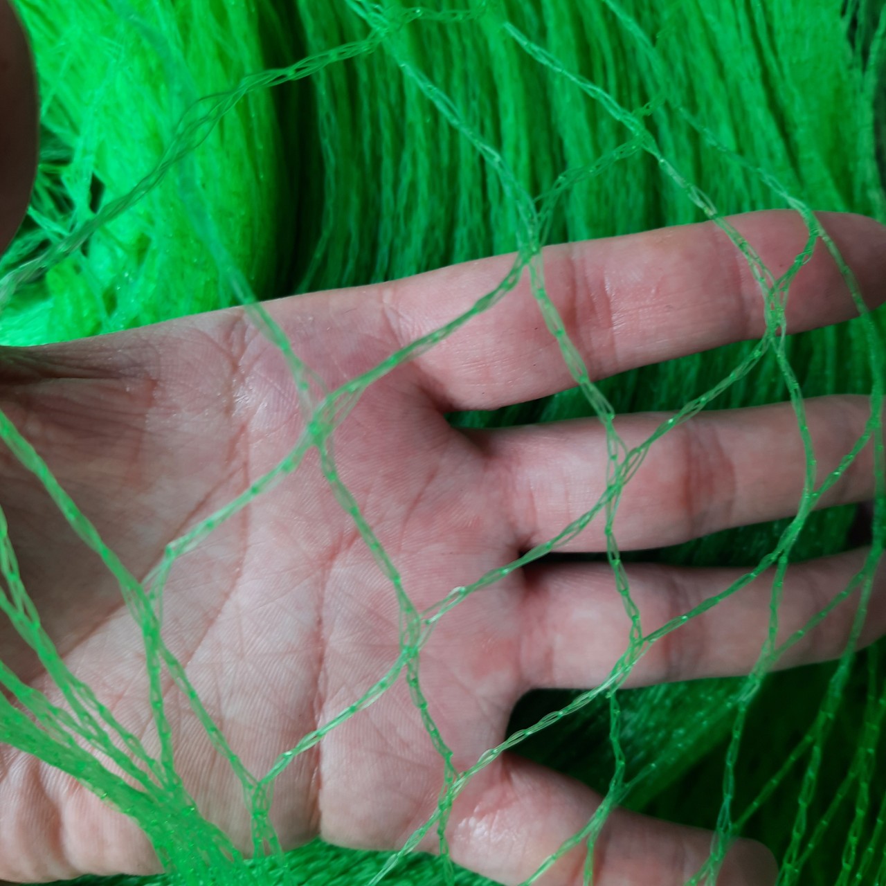 10 mét Lưới rào gà, lưới rào vịt, lưới rào vườn, lưới cước xanh khổ cao 2mét,mắt  lưới rộng 3cm