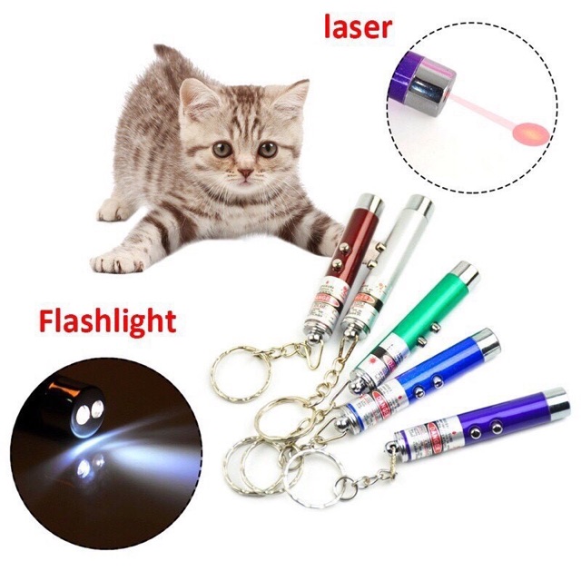 ĐÈN LAZE TRÊU MÈO!!! (SẴN 3 PIN)