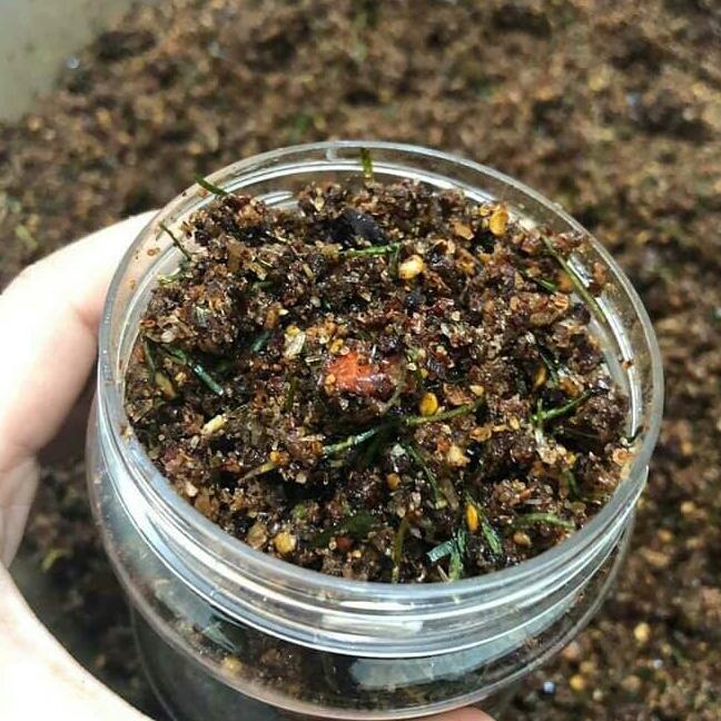 chẩm chéo tây bắc đặc sản núi rừng