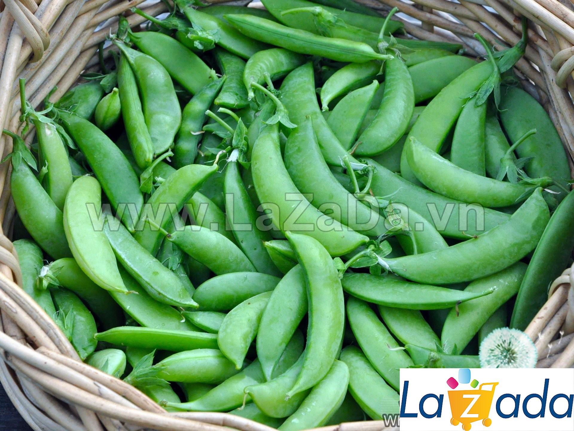 5Gr Hạt Giống Đậu Hà Lan Leo Siêu Ngon Sugar Snap (A2.303| W1*W53*M026)