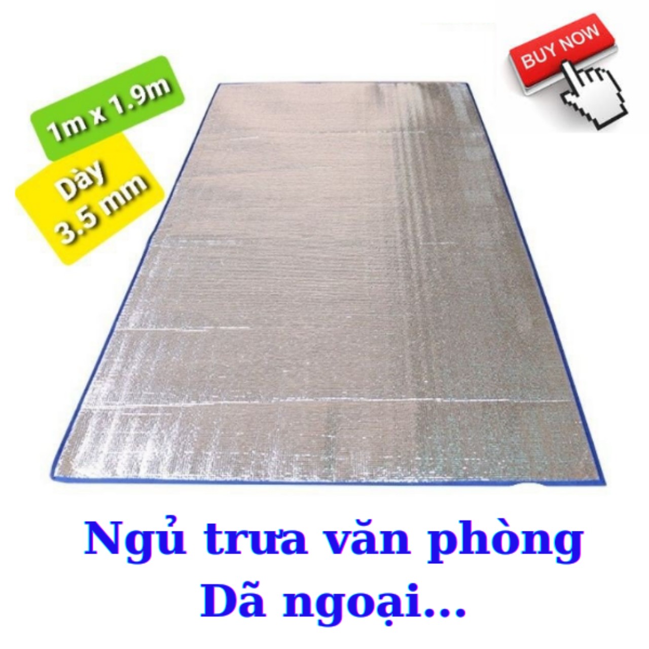 Chiếu ngủ trưa văn phòng loại dày