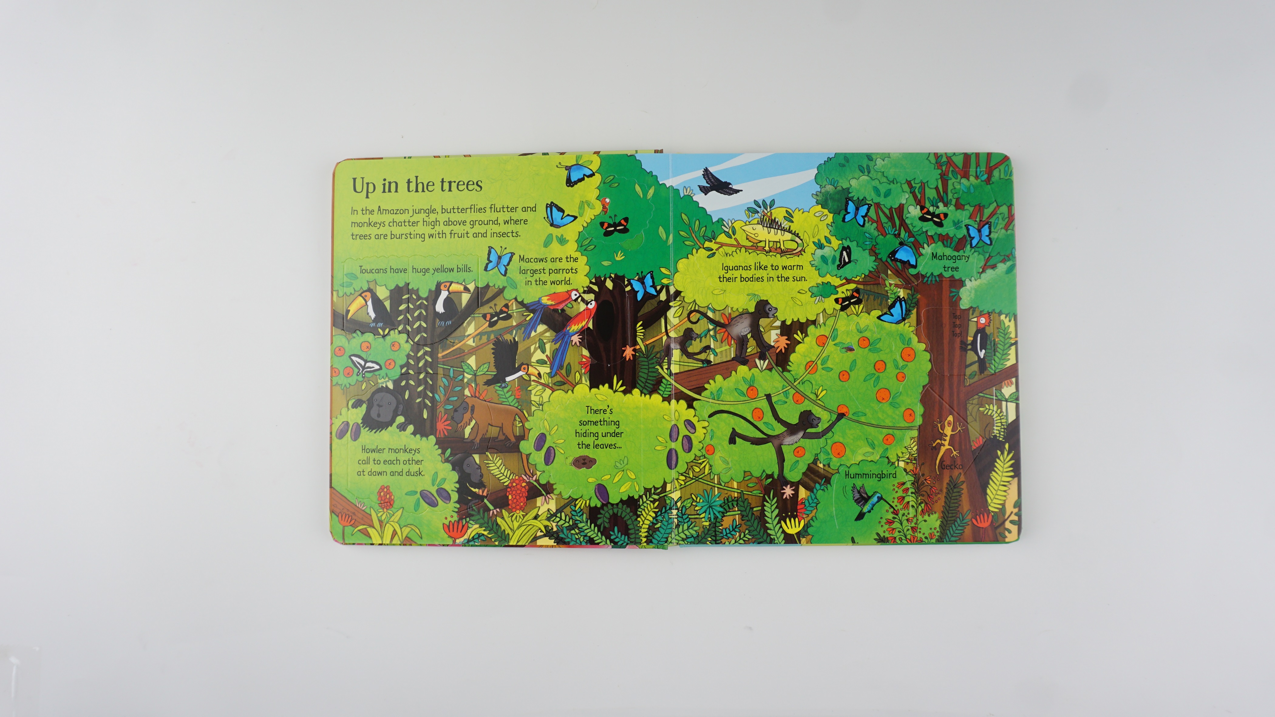 Look Inside the Jungle