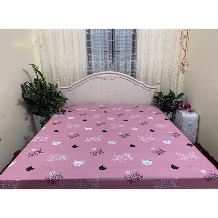 GA CHỐNG THẤM COTTON CAO CẤP 1,6x2M