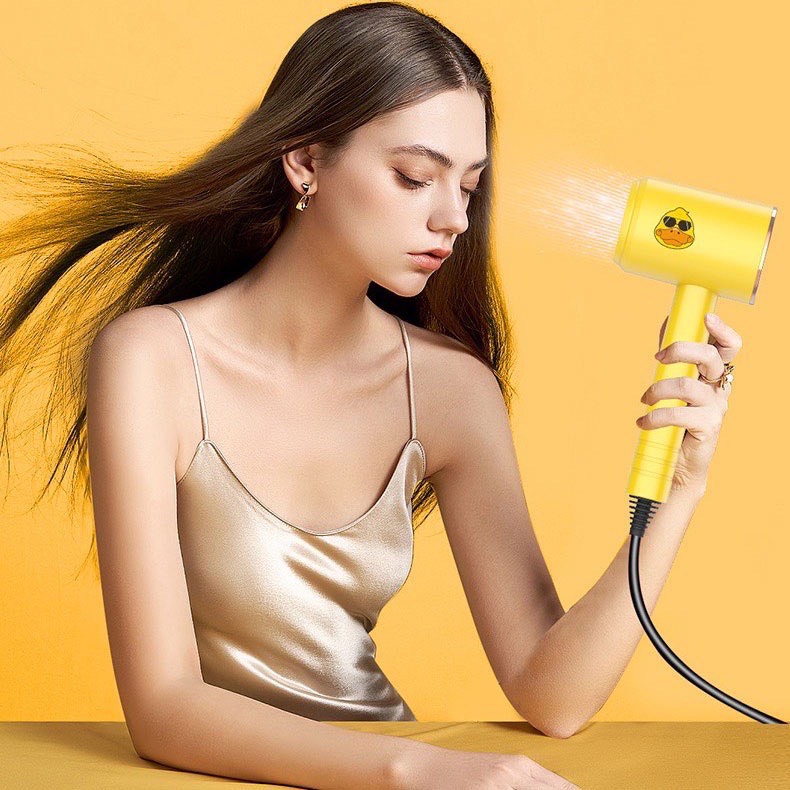 Lucky Duck 1200W 2-Way Hot and Cold Noiseless Hair Dryer
