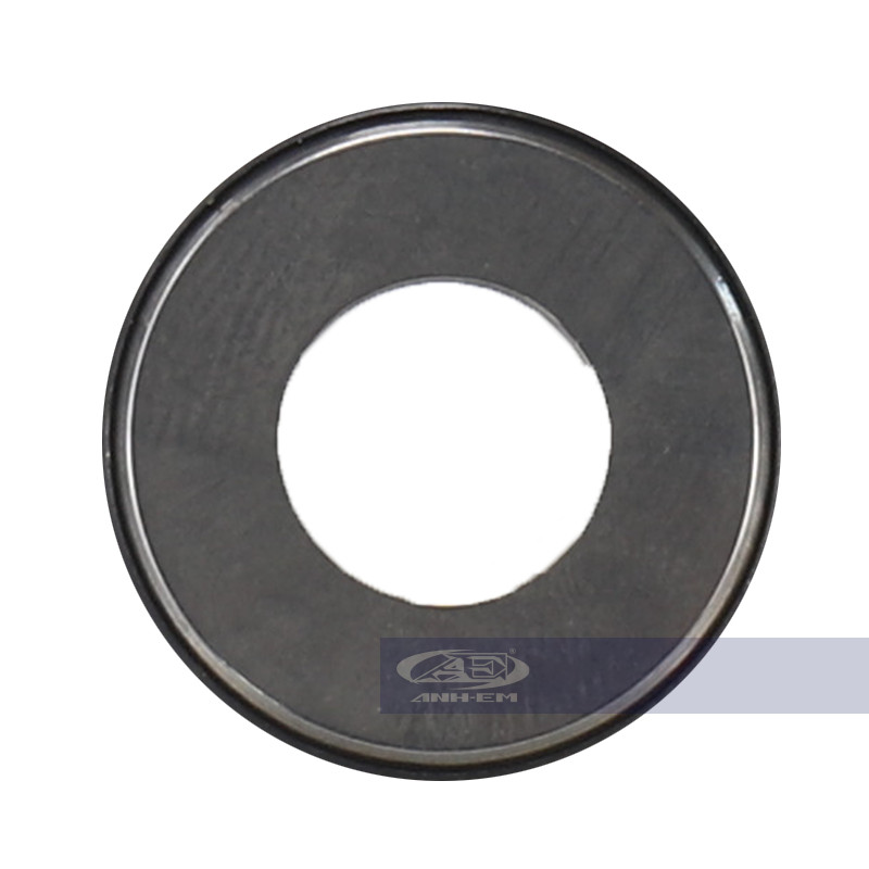 Bạc đạn chà nồi RGV (CYT) RGV120-0028