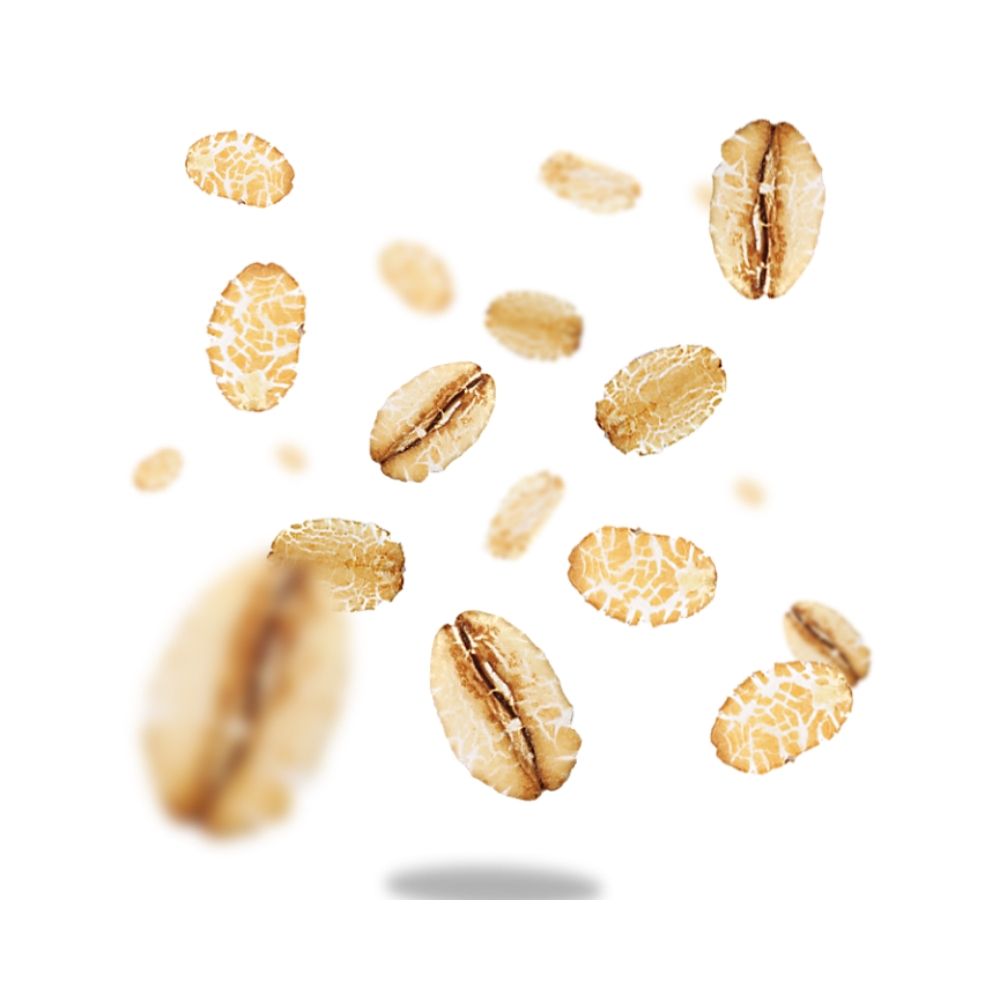 Fiocchi Grandi di Avena Integrale