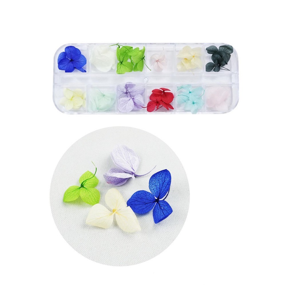 Set hoa khô trang trí móng 02