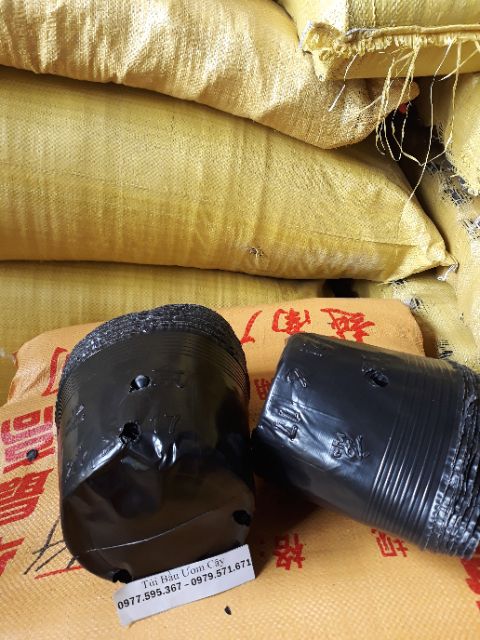 1kg bầu ươm cây 21x17 / 100 cái