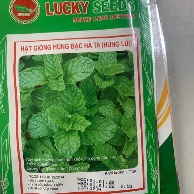 Hạt giống cây Húng Lủi (Bạc Hà Ta) 0.1gram