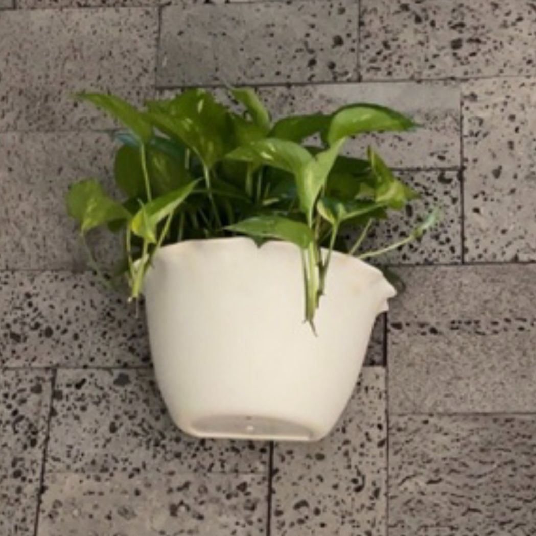 Chậu Nhựa Ốp Bèo Tường