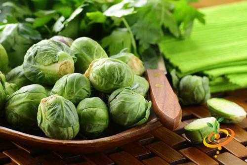 Hạt Giống Bắp Cải Mini Xanh ( Gói 10 Hạt)