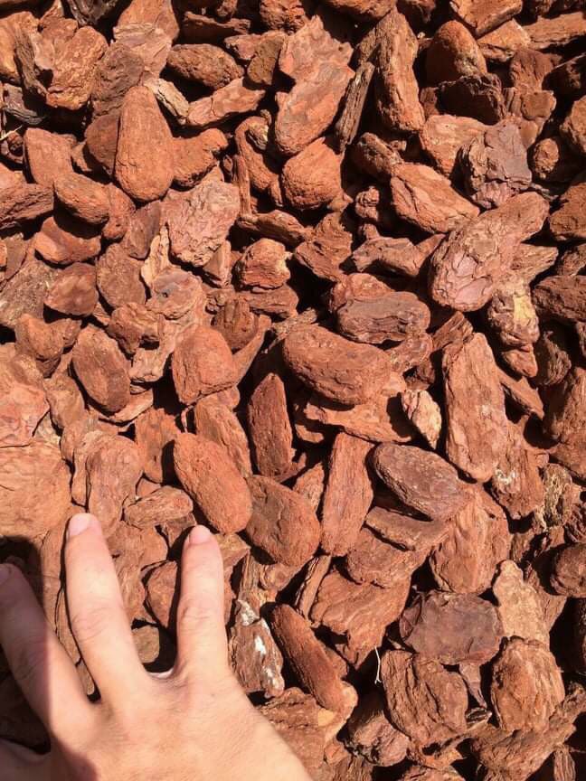Vỏ Thông trồng Lan 5 kg