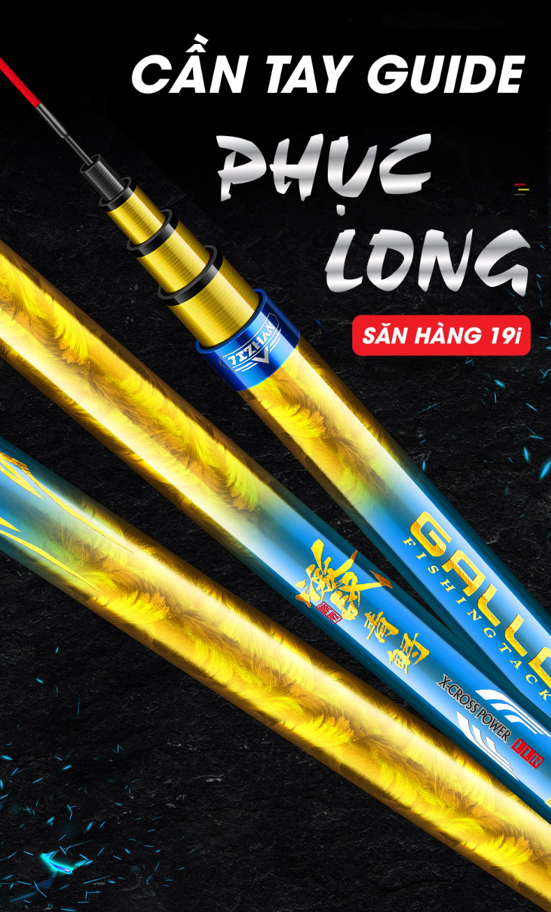 Cần câu Guide Phục Long - Chính hãng