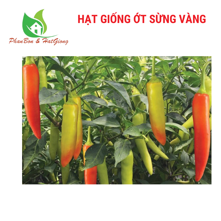 Hạt Giống Ớt Sừng Vàng Phú Nông 0,1g