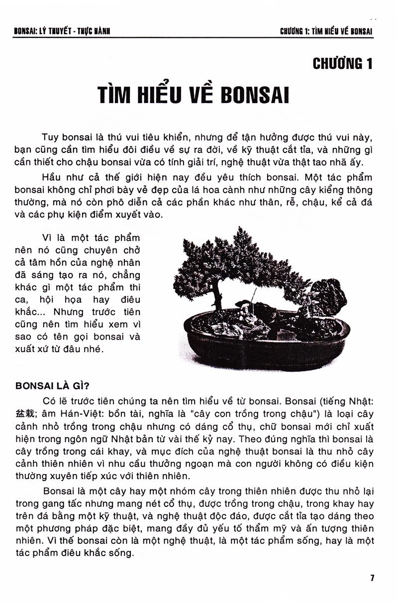 [HCM]Bonsai - Lý Thuyết - Thực Hành