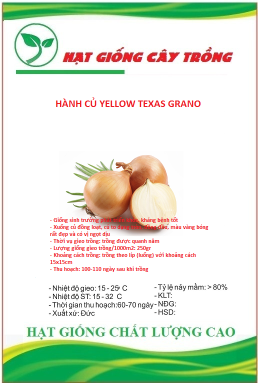 Hạt giống hành củ yellow texas grano ct162 - gói 2gram