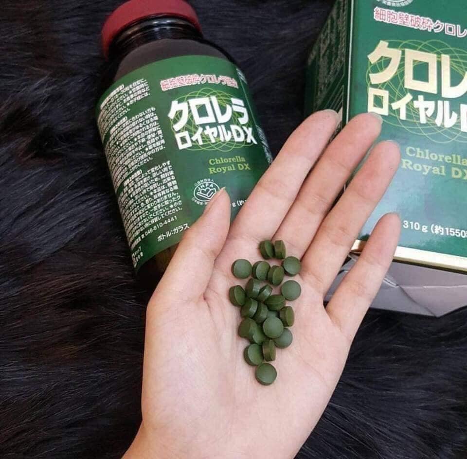 Hộp đựng Tảo Lục Chlorella Royal DX (1550 viên)