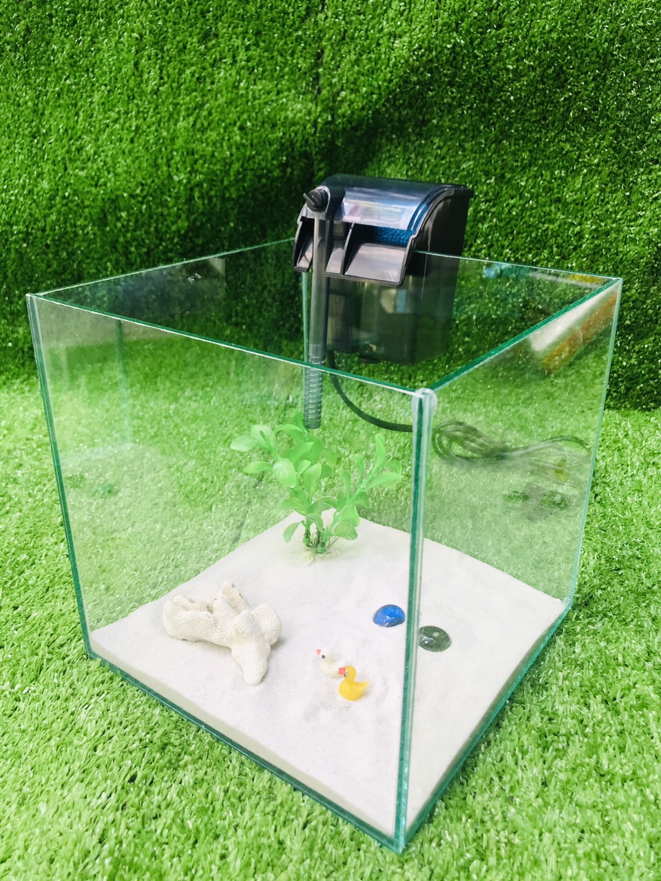 bể cá cubic - combo - bể cá mini