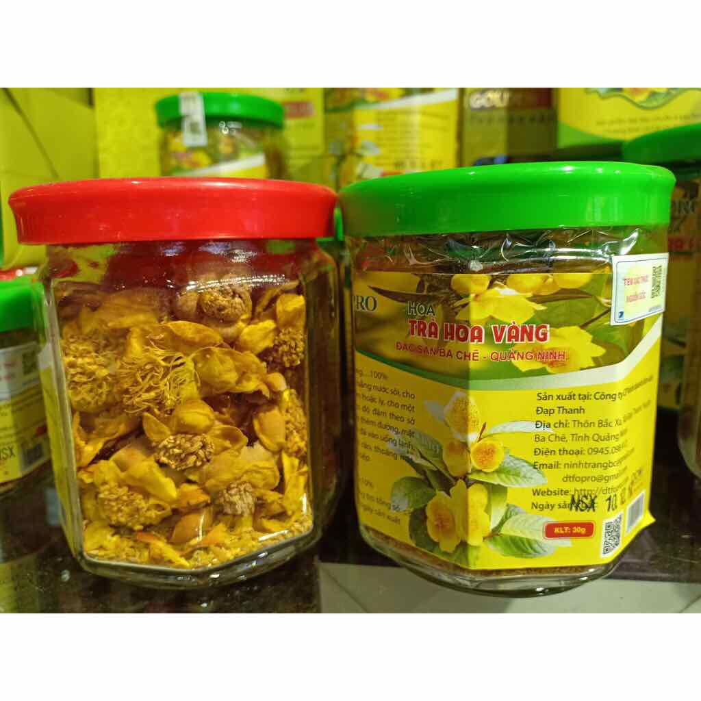 Trà hoa vàng Ba Chẽ (combo 3 cây giống) tặng 2 cây chè xanh
