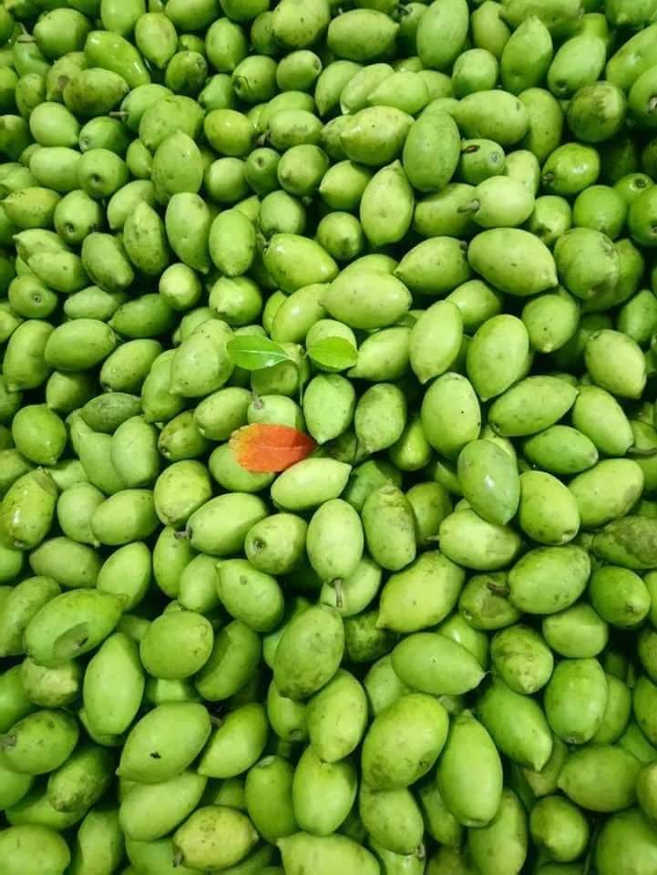 CÀ NA ĐẬP 1 kg