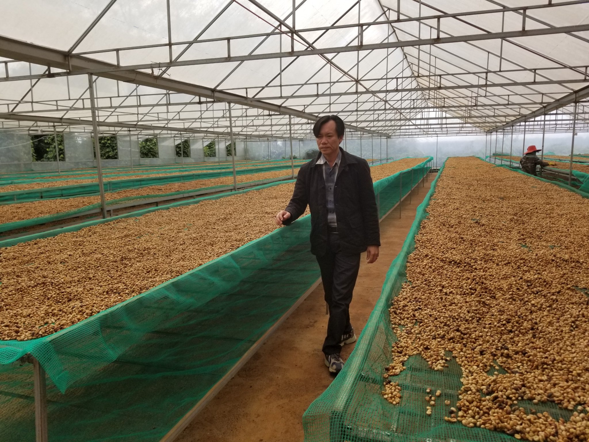 Cà Phê Bột Nguyên Chất 100% Robusta-Arabica