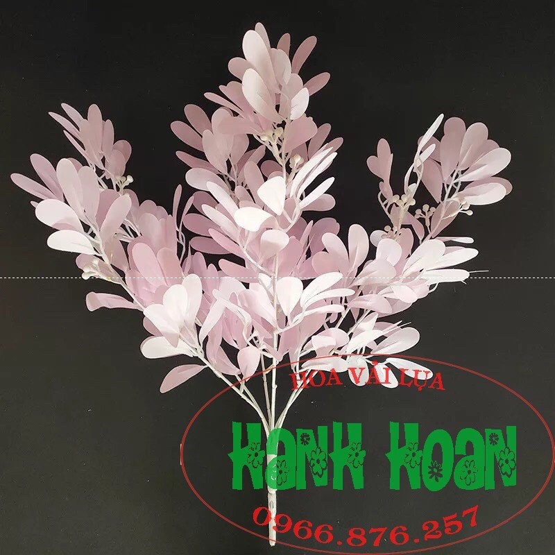 Chùm lá thanh mai - Lá giả