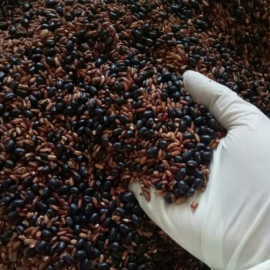 1kg trà gạo lứt đỗ đen