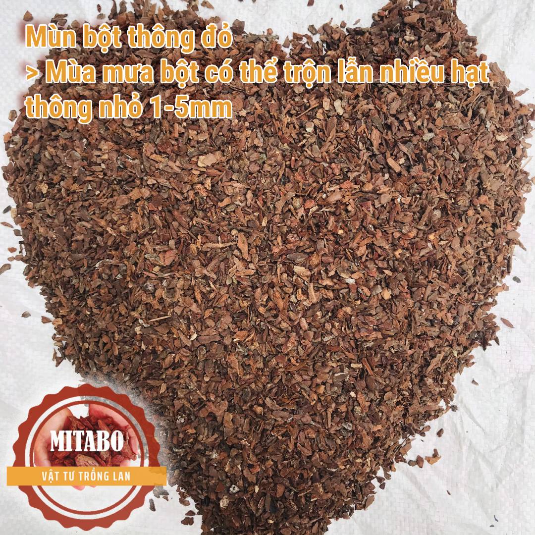 Combo 5kg Bột vụn vỏ thông đất trồng sen đá, cây cảnh Mitabo