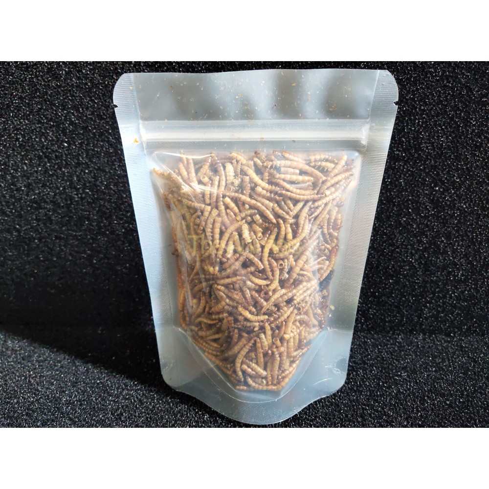 Sâu Super Worm sấy thơm cho hamster, chim, cá, nhím,... (100gram)