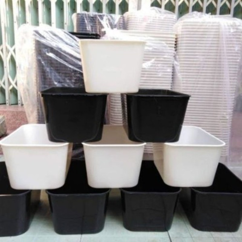 3 Khay 7 Lít Đen 30x22x16 Nuôi Cá Cảnh