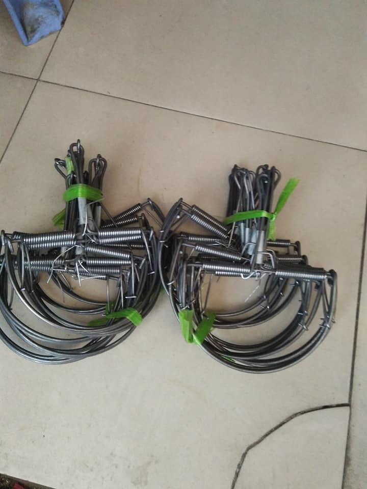 Combo 10 Bẩy chuột , sóc bán nguyệt 13 cm