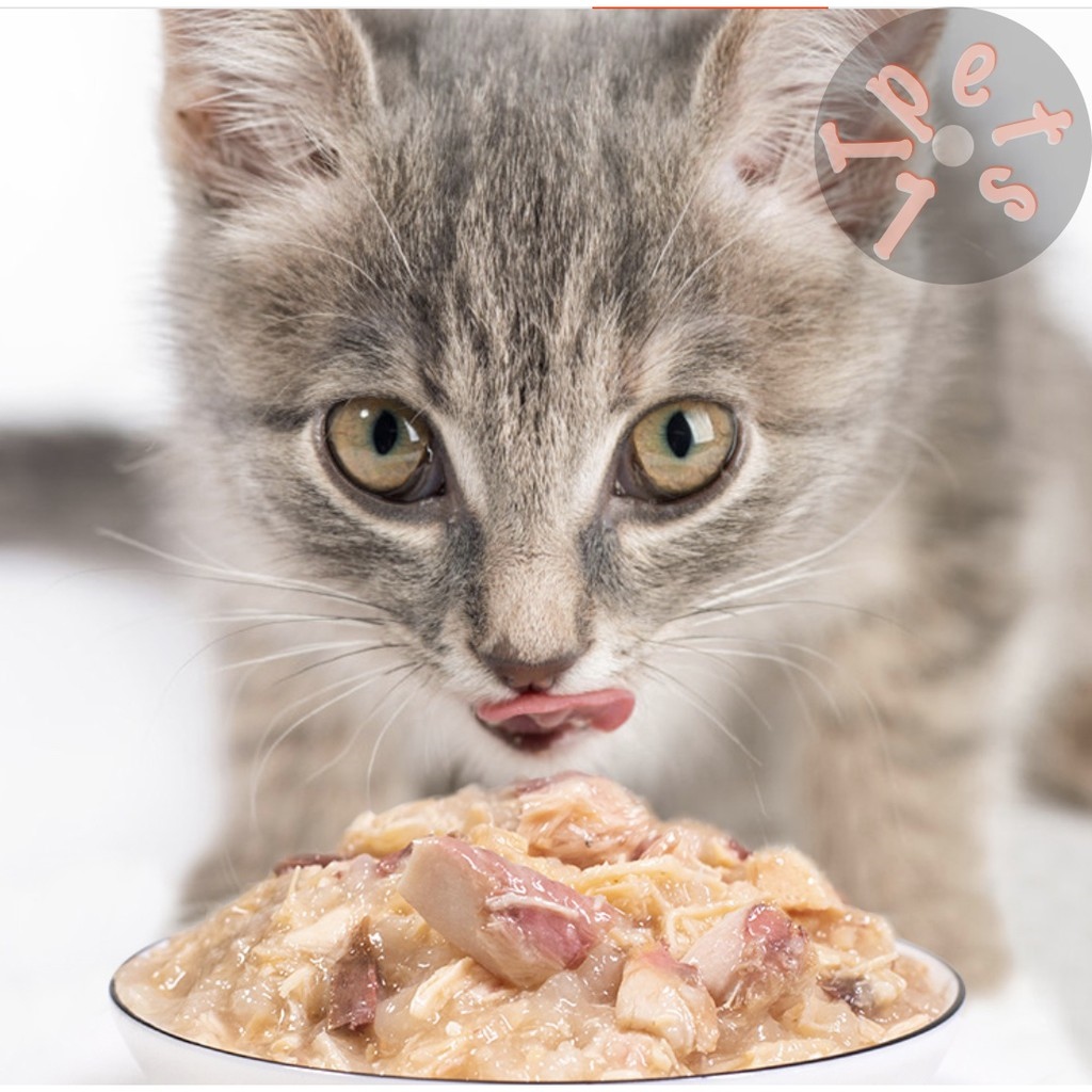 pate Honey Pet Balance 85gr dạng thạch