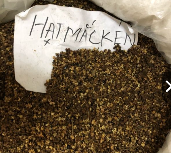 Hạt mắc kén Tây Bắc+ hạt rổi