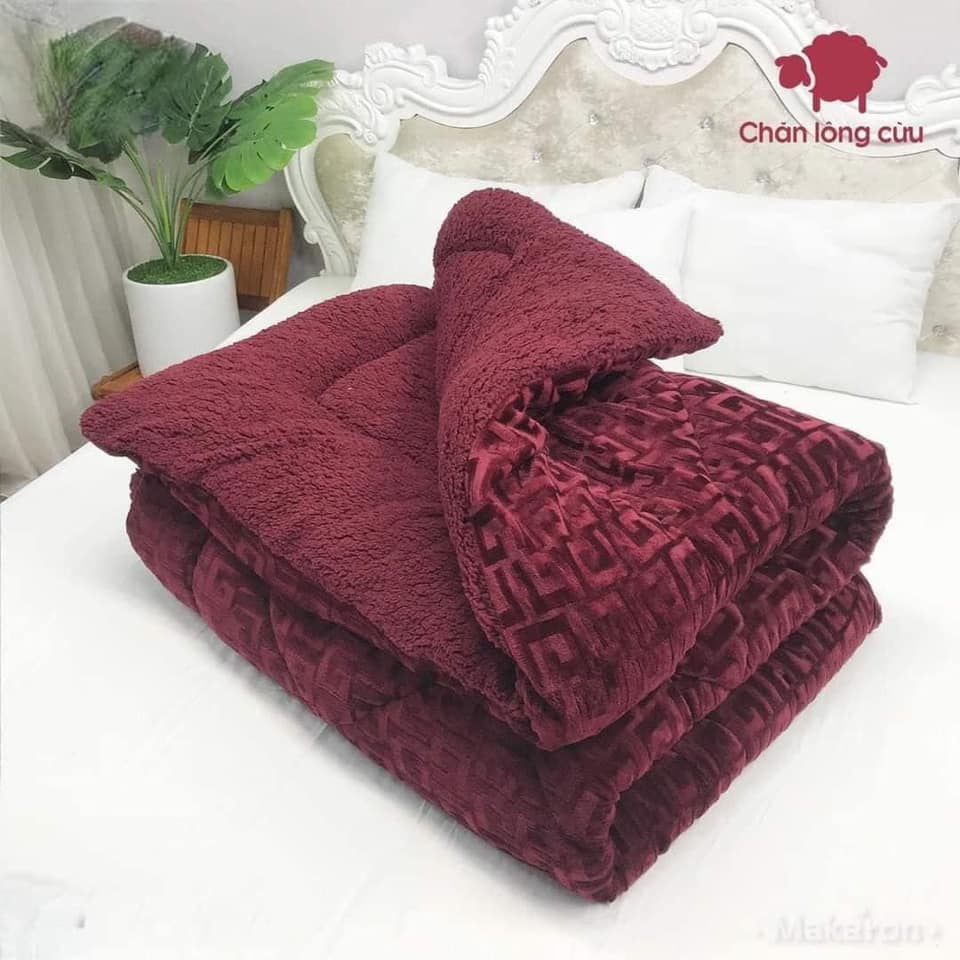 Chăn Lông Cừu Chữ Vạn Cho Ngày Lạnh