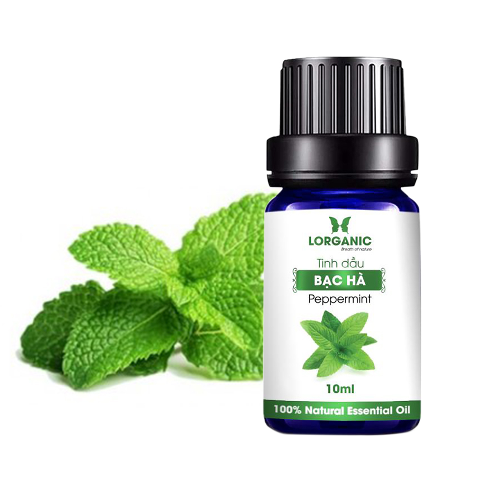 [HCM]Combo Tinh Dầu Sả Chanh Lorganic + Bạc Hà Lorganic (10ml / Chai)