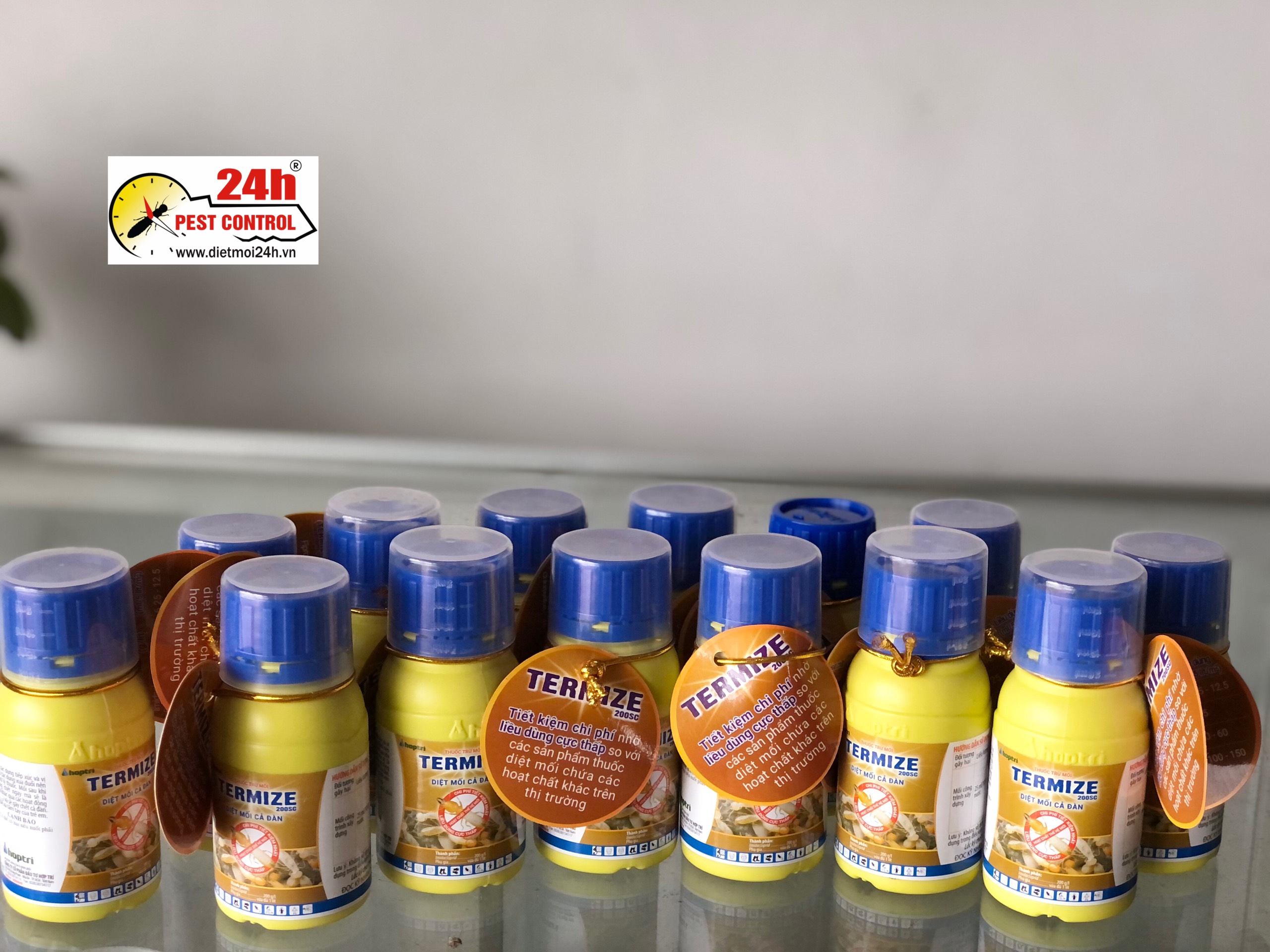 Thuốc diệt mối thế hệ mới Termize diệt mối cả đàn hiệu quả chai 50ml