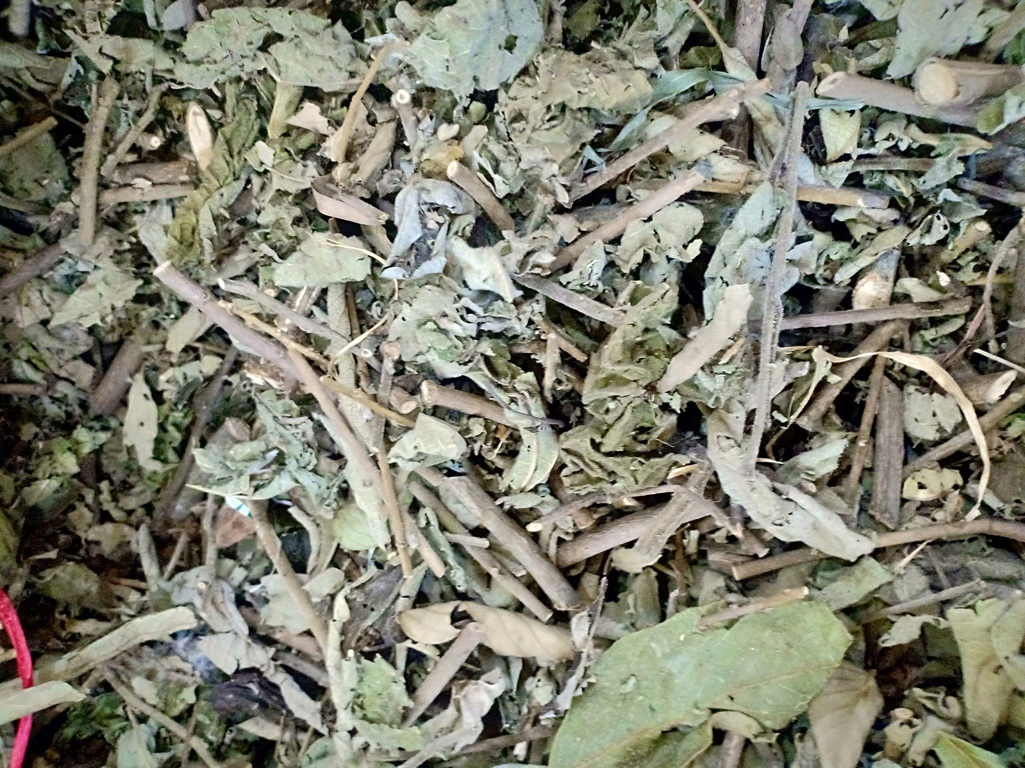 Cây an xoa - HOA MÀU TÍM 1kg