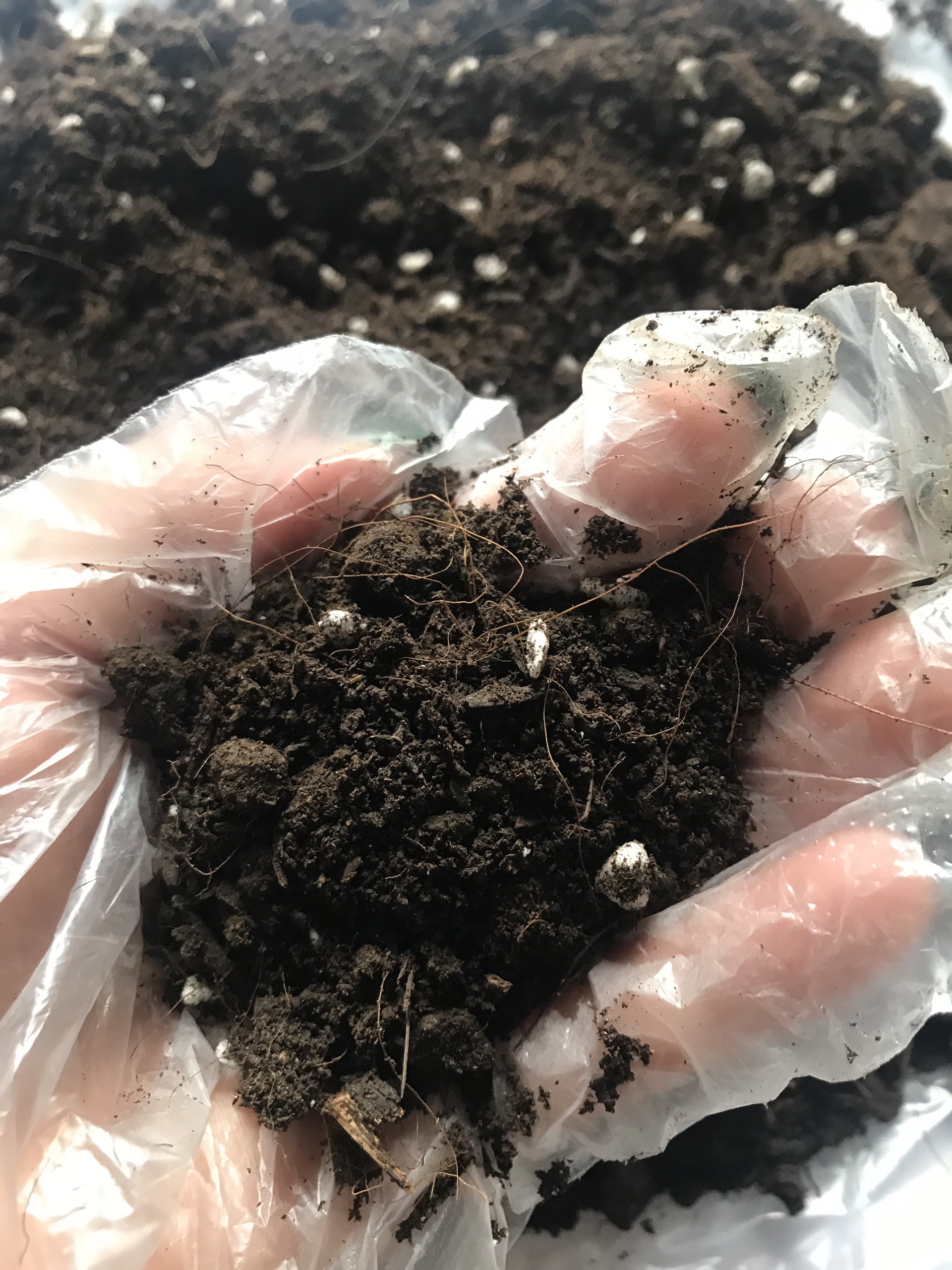 Túi 2 kg - Đất sạch trồng cây cao cấp Potting Mix