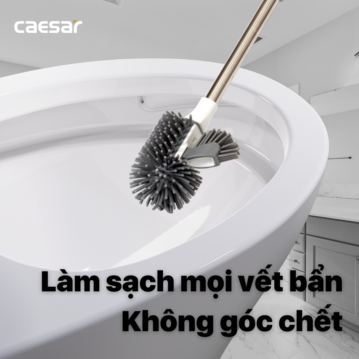 Hộp Cọ Toilet Silicon Caesar