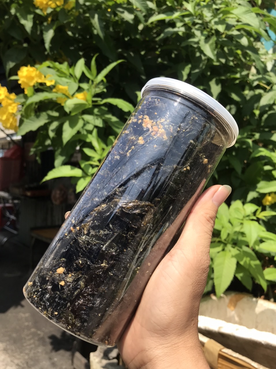 [ HCM ] hũ 150gram Rong biển cháy tỏi