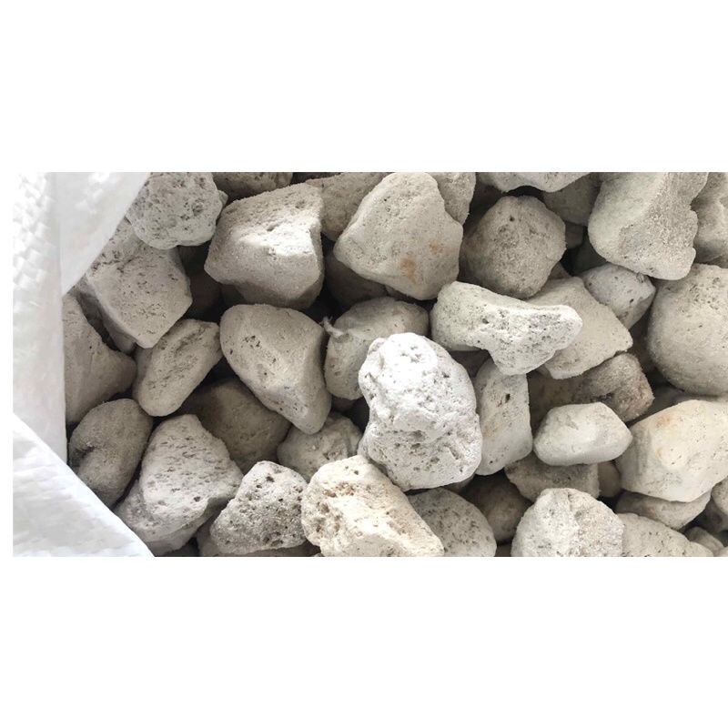 Nham thạch trắng – Đá Lông Vũ lọc nước hồ koi