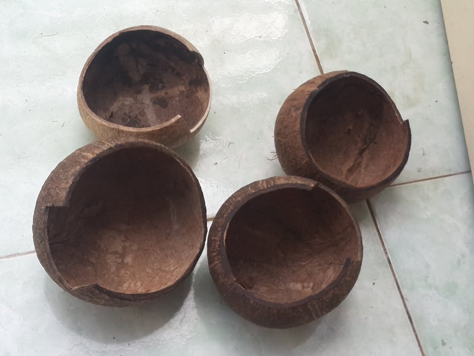[HCM]Hang trú gáo dừa dành cho thú cưng nhỏ