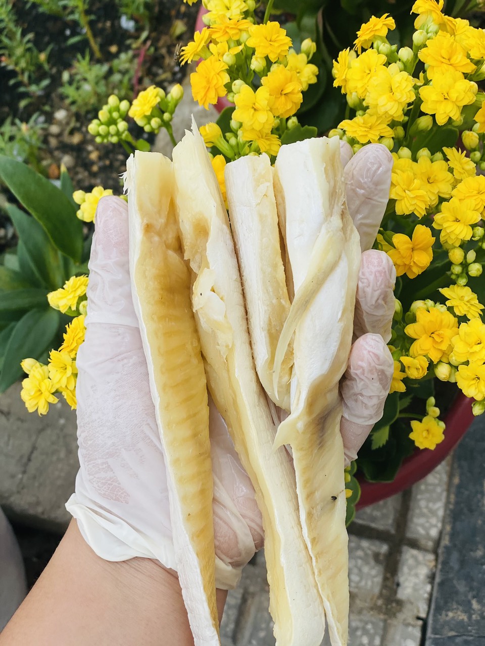 [GIAO NHANH 2H HCM] 1Kg Ức Cá BASA