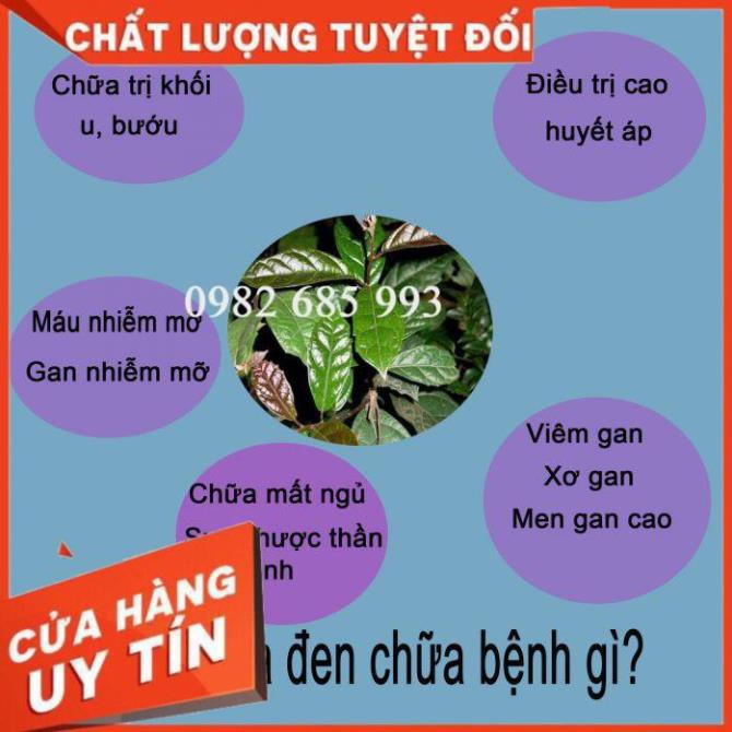Combo 5 Cây xạ đen ( mua 5 tặng 1 )
